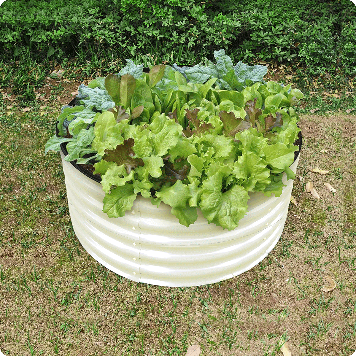 17" Tall, 42" Round Bousty Galvanized Raised Garden Beds, Home Garden Vegetable Beds, Ivory