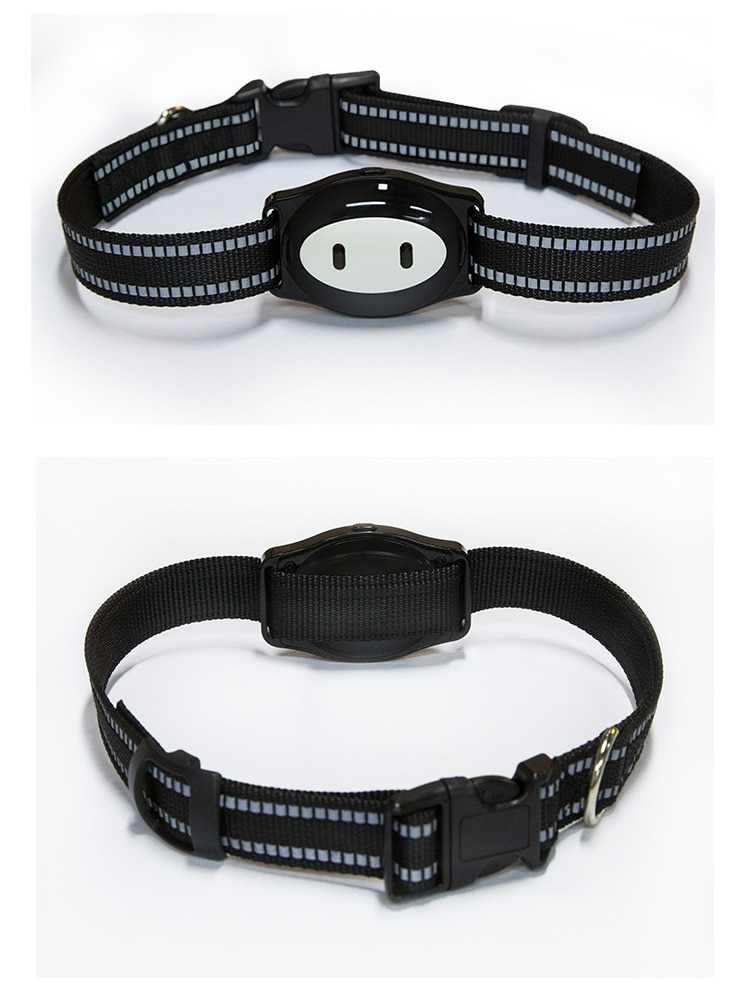 Real-Time Tracking GPS Dog Collar