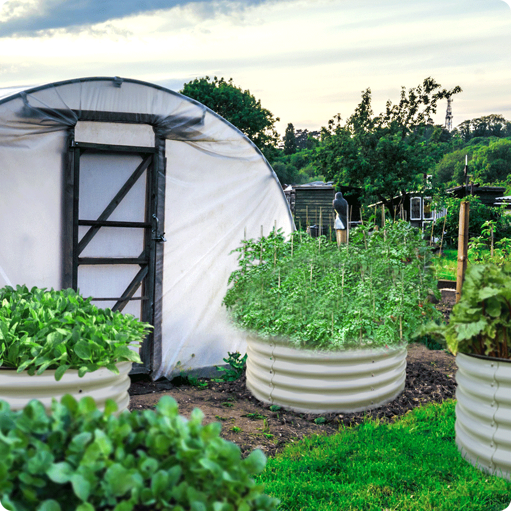 17" Tall, 42" Round Bousty Galvanized Raised Garden Beds, Home Garden Vegetable Beds, Ivory