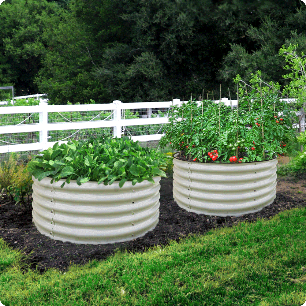 17" Tall, 42" Round Bousty Galvanized Raised Garden Beds, Home Garden Vegetable Beds, Ivory