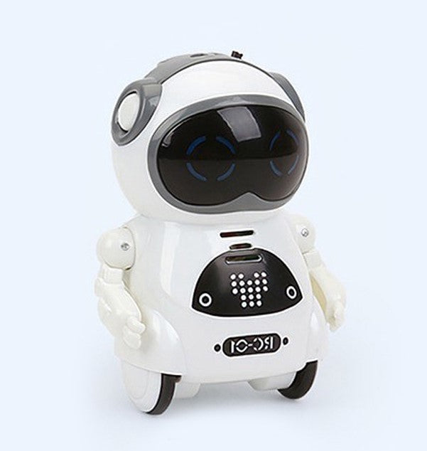 Pocket RC Robot